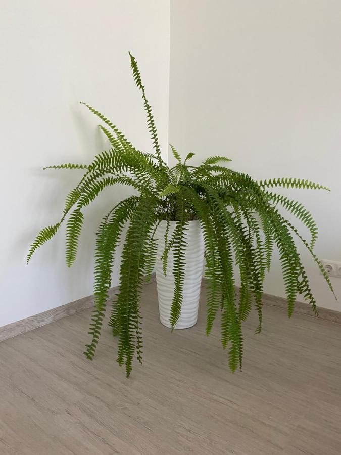 Centra Apartamenti Alūksne Kültér fotó